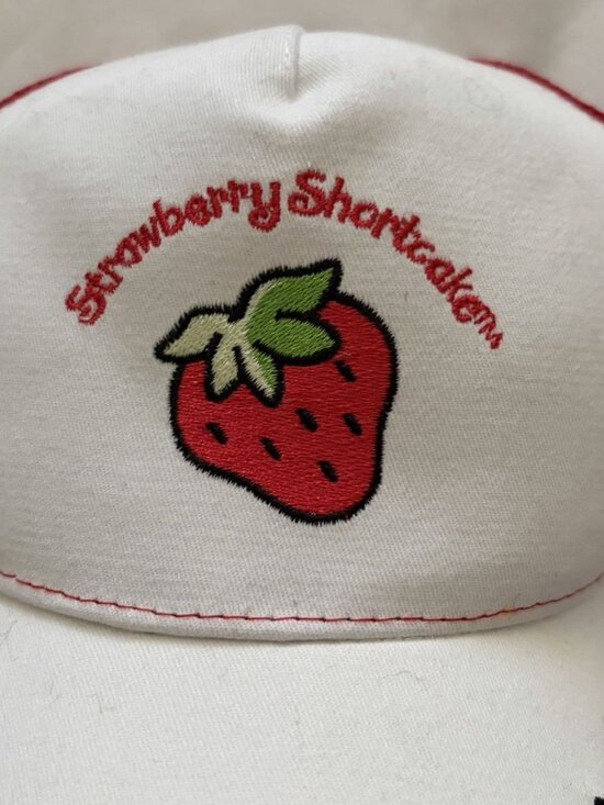 Dolls Kill X Strawberry Shortcake Embroidered Trucker Hat NWOT main image 5